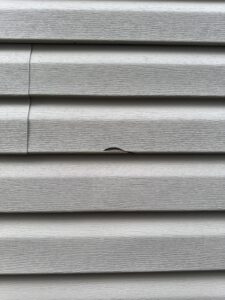 1.2 Siding Damage